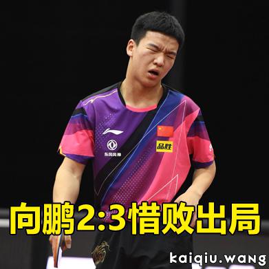 向鹏2:3惜败出局，三局点遭绝杀引唏嘘！王皓赛后反应意外，球迷：格局尽显