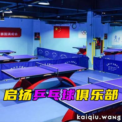 龙湖启扬乒乓球俱乐部