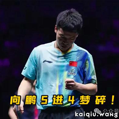 开球网300-300.jpg